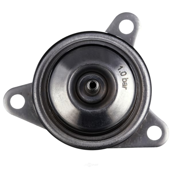 Delphi Fuel Injection Pressure Regulator FP10393