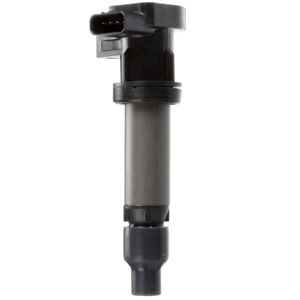 Delphi Ignition Coil GN10455