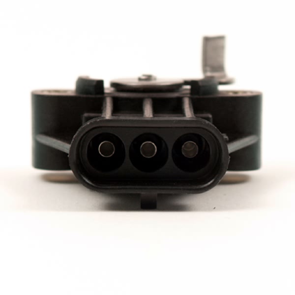 Delphi Throttle Position Sensor SS10313