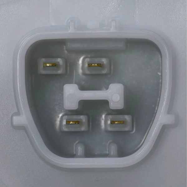 Delphi Fuel Pump Module Assembly FG2298