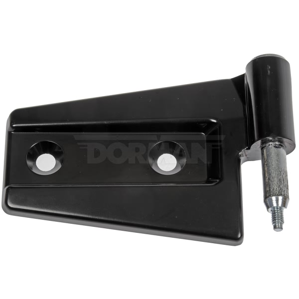 Dorman OE Solutions Rear Passenger Side Door Hinge Assembly 925-054