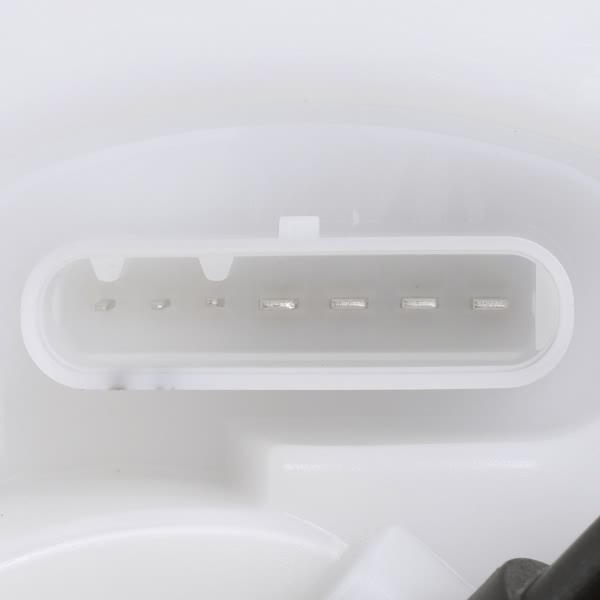 Delphi Fuel Pump Module Assembly FG2203