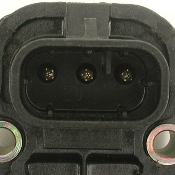Delphi Throttle Position Sensor SS10482