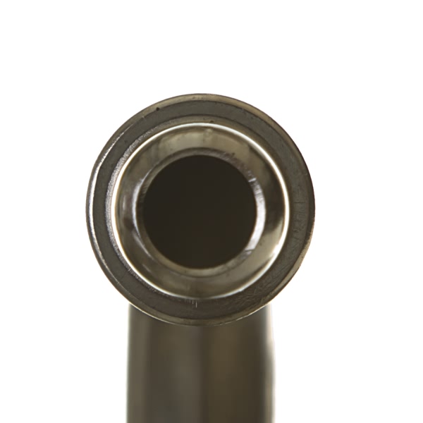 Delphi Fuel Pump And Sender Assembly HP10138