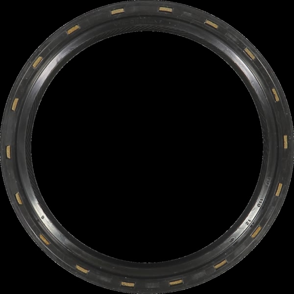 Victor Reinz Crankshaft Seal 81-20004-30