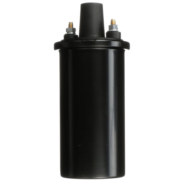 Delphi Ignition Coil GN10854