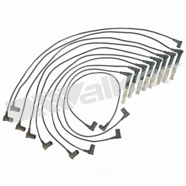 Walker Products Spark Plug Wire Set 924-1391