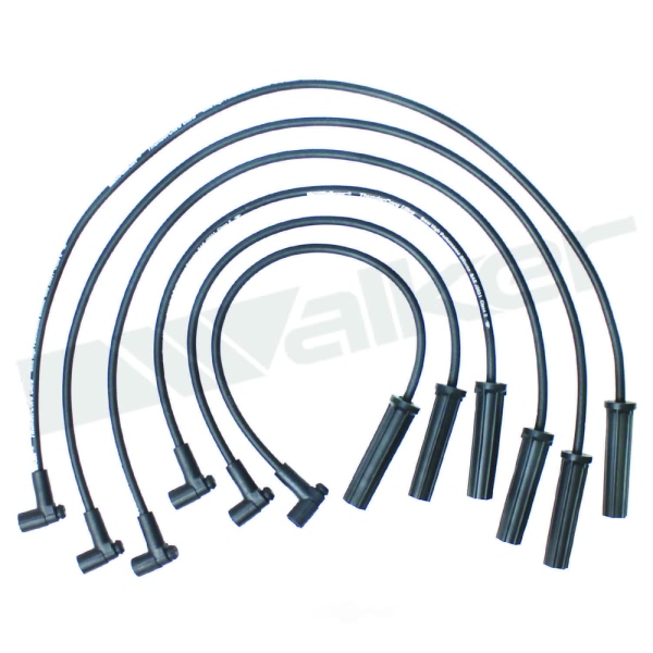 Walker Products Spark Plug Wire Set 924-1592