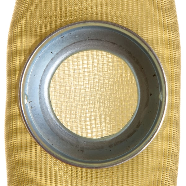 Delphi Fuel Pump Strainer FS0010