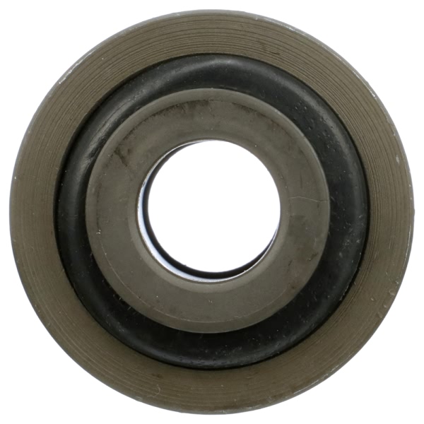 Delphi Front Lower Control Arm Bushing TD4860W