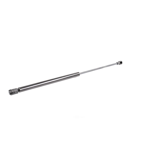 VAICO Liftgate Lift Support V95-0196