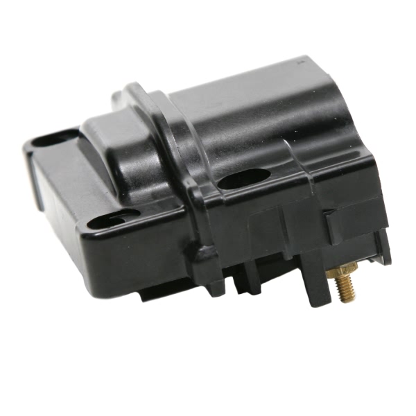 Delphi Ignition Coil GN10173