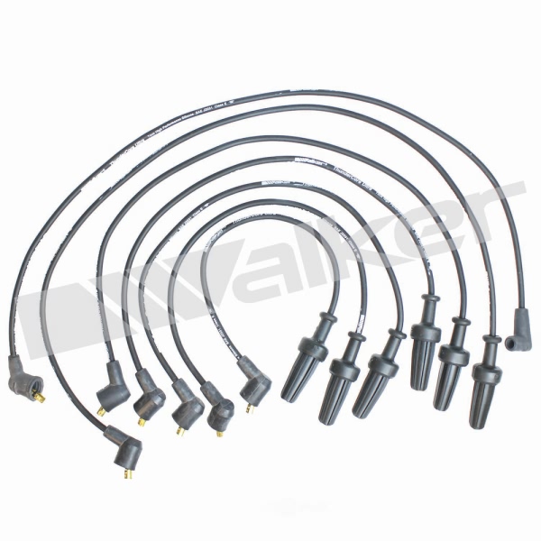 Walker Products Spark Plug Wire Set 924-1319