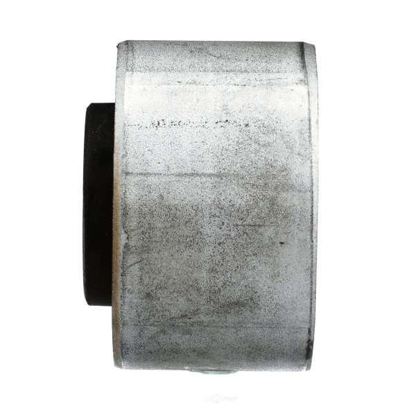 Delphi Rear Subframe Bushing TD1658W