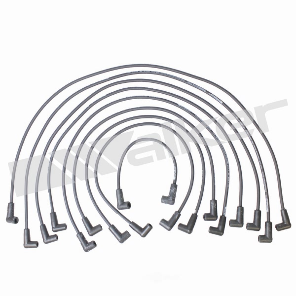 Walker Products Spark Plug Wire Set 924-1393