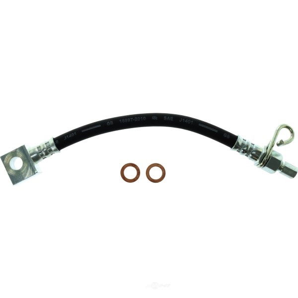 Centric Rear Passenger Side Lower Brake Hose 150.67349