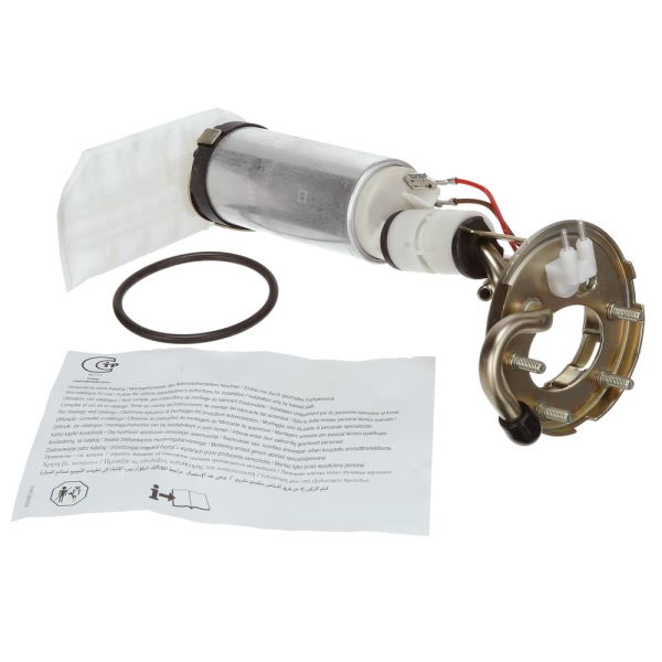 Delphi Fuel Pump And Sender Assembly HP10241