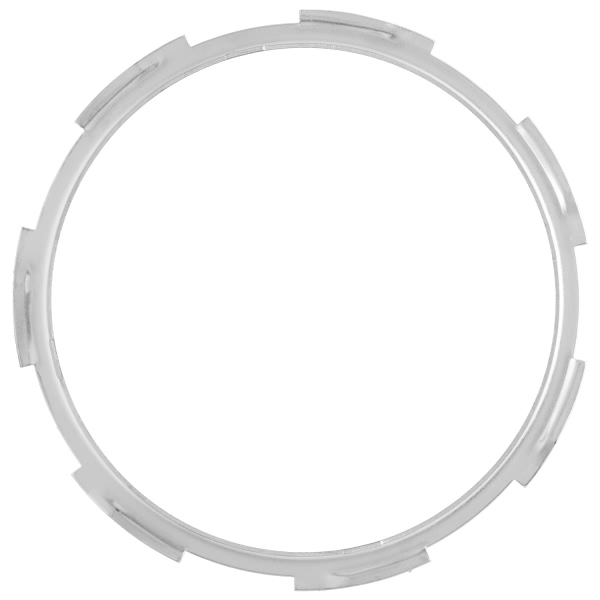 Delphi Fuel Tank Lock Ring FA10007