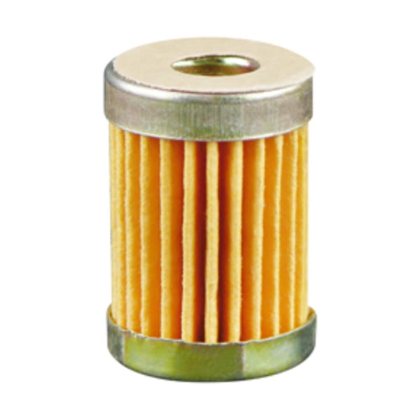 Hastings Fuel Filter Element GF21