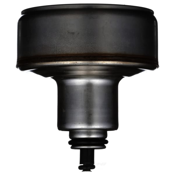 Delphi Fuel Injection Pressure Regulator FP10711