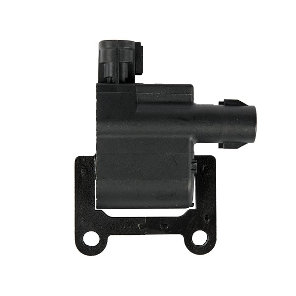 Delphi Ignition Coil GN10356