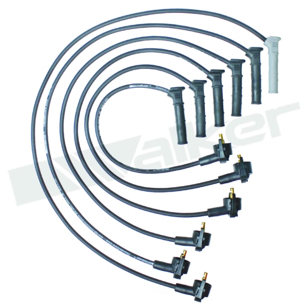 Walker Products Spark Plug Wire Set 924-1938