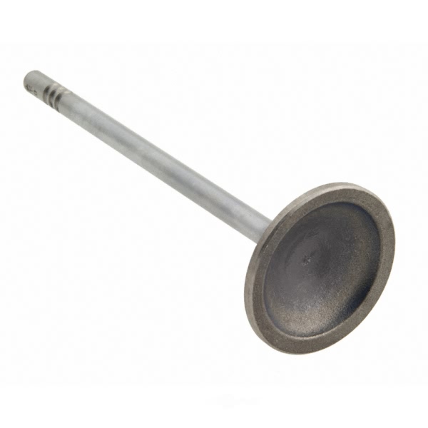 Sealed Power Engine Exhaust Valve V-4686