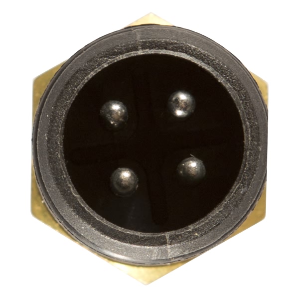 Delphi Coolant Temperature Sensor TS10263