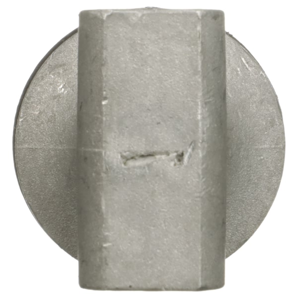 Delphi Front Lower Rearward Control Arm Bushing TD5448W