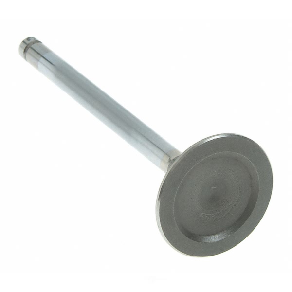 Sealed Power Engine Exhaust Valve V-4557