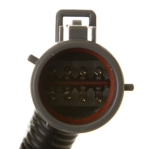 Delphi Fuel Pump And Sender Assembly HP10138