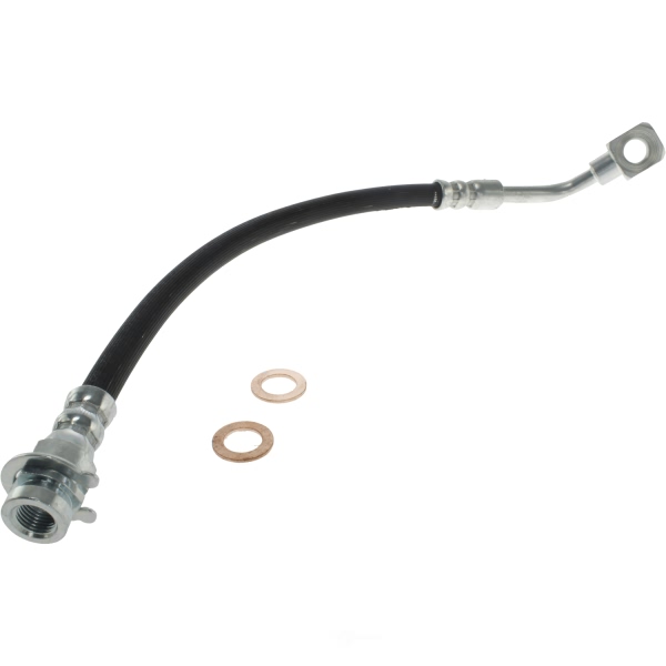 Centric Rear Passenger Side Lower Brake Hose 150.62352