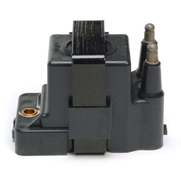 Delphi Ignition Coil GN10128