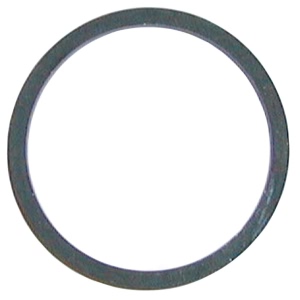 STANT Engine Coolant Thermostat Seal for 1995 Dodge Ram 2500 - 27291