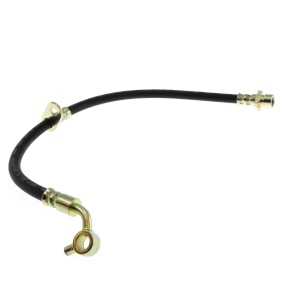 Centric Rear Brake Hose for 2010 Honda CR-V - 150.40380