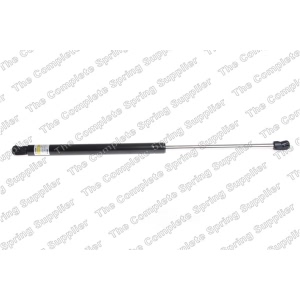 lesjofors Liftgate Lift Support for 2017 Audi Q5 - 8104245