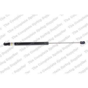 lesjofors Liftgate Lift Support for Audi - 8104245