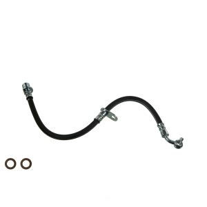 Wagner Rear Brake Hydraulic Hose for 2004 Honda CR-V - BH141075