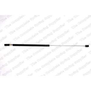 lesjofors Hood Lift Support for 2000 Volkswagen Passat - 8095000