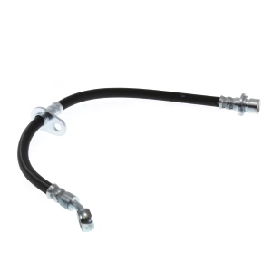 Centric Rear Driver Side Brake Hose for 1999 Honda Prelude - 150.40334