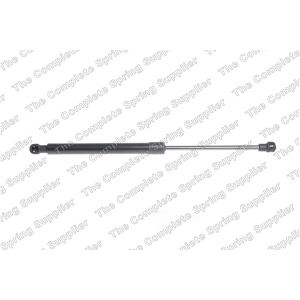 lesjofors Hood Lift Support for Fiat - 8026104