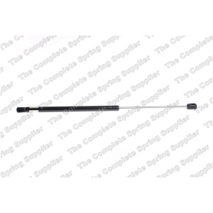 lesjofors Back Glass Lift Support for 2009 Land Rover Range Rover Sport - 8175725