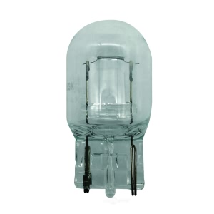 Hella 7440 Standard Series Incandescent Miniature Light Bulb for 2015 Infiniti Q70 - 7440
