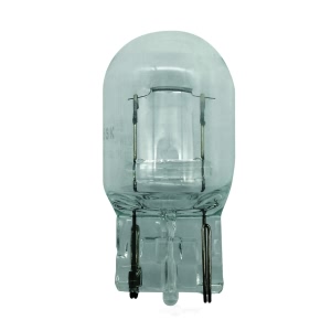 Hella 7440 Standard Series Incandescent Miniature Light Bulb for 2004 Infiniti I35 - 7440