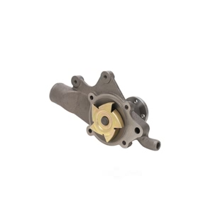 Dayco Engine Coolant Water Pump for 1984 Jeep Grand Wagoneer - DP845