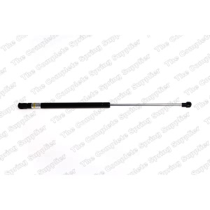 lesjofors Hood Lift Support for 2001 Volkswagen Jetta - 8095010