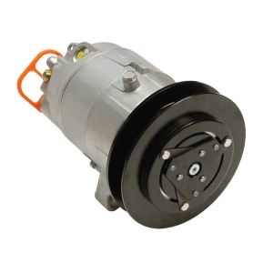 Delphi A C Compressor With Clutch for Pontiac Grand Prix - CS10074