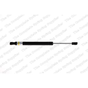 lesjofors Back Glass Lift Support for Volkswagen - 8195057