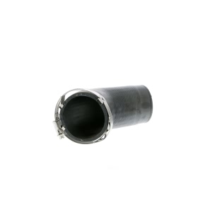VAICO Intercooler Hose Pipe to Engine for 2008 Audi A3 - V10-2855