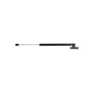StrongArm Driver Side Back Glass Lift Support for Nissan - 4815